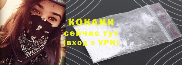 ALPHA-PVP Гусев