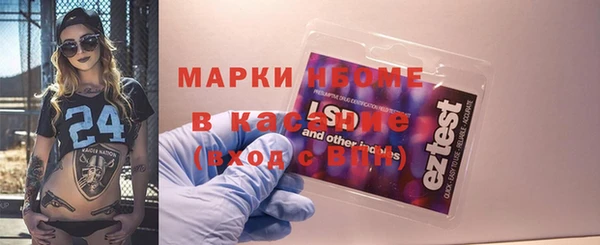 прущие грибы Гусиноозёрск