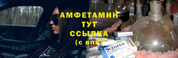 прущие грибы Гусиноозёрск