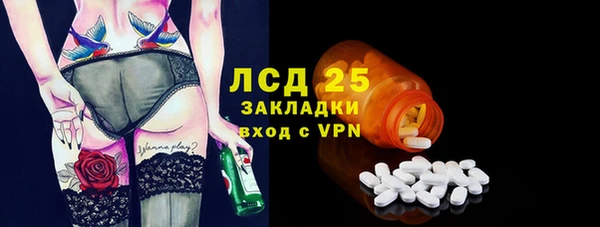 прущие грибы Гусиноозёрск