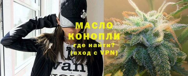прущие грибы Гусиноозёрск