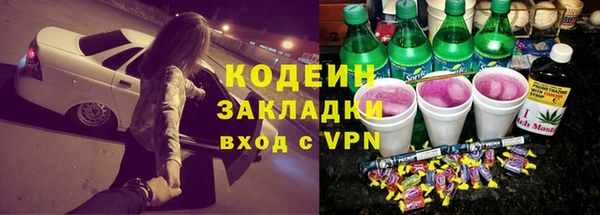 стаф Дмитров