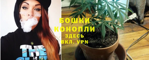 ALPHA-PVP Гусев