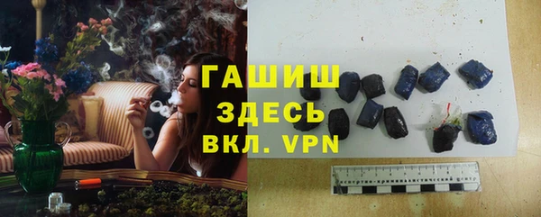 прущие грибы Гусиноозёрск